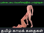 Tamil audio sex story - Aval Pundaiyai velichathil paarthen Pakuthi 2 - Animated cartoon 3d porn video of Indian girl sexual fun